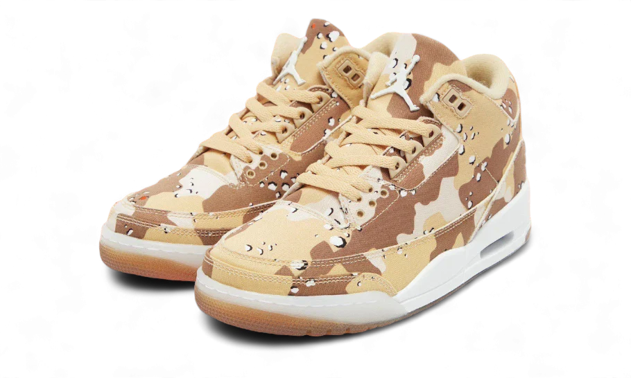 Air Jordan 3 Retro Wgb Desert Camo 2