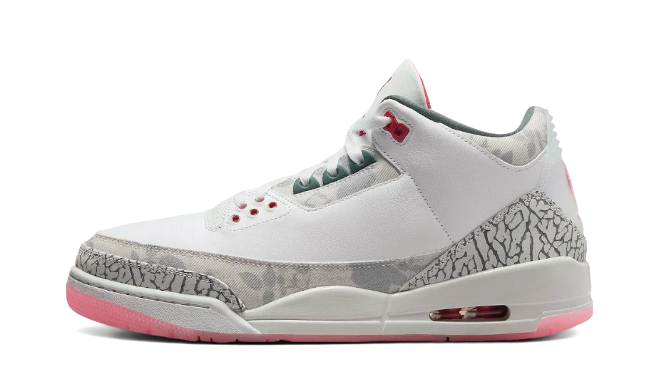 Air Jordan 3 Retro Wings 1