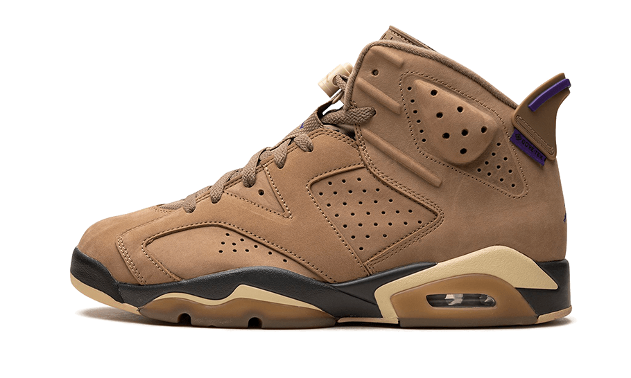 Air Jordan 6 Retro Gore-Tex Brown Kelp 1