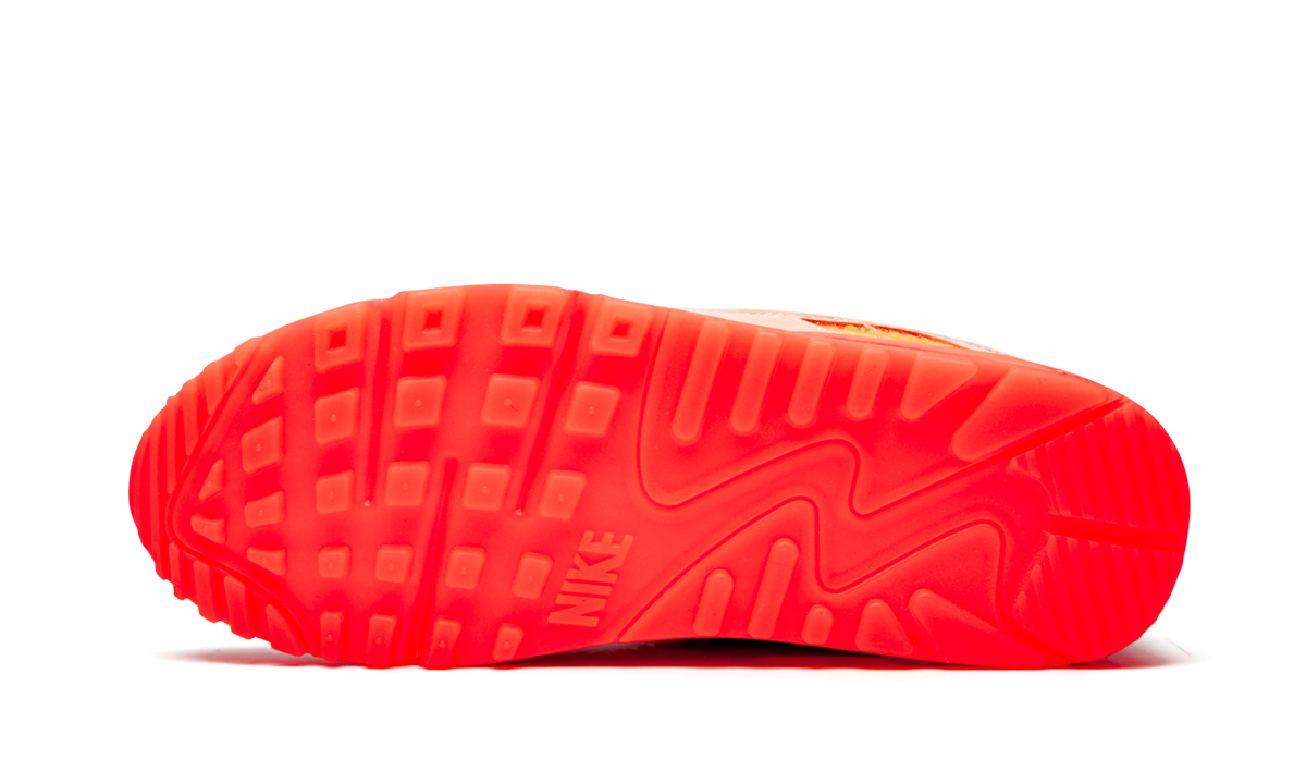 Air Max 90 PRM Platinum Crimson/Bright Purple (W)