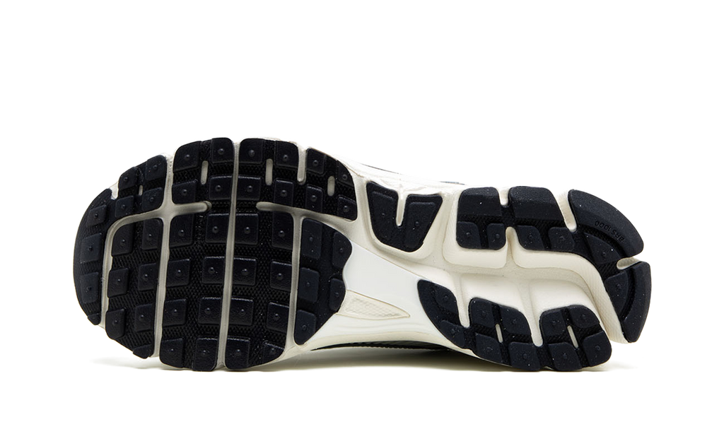 Nike Zoom Vomero 5 Photon Dust (W)