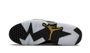 Jordan 6 Retro DMP (2020)