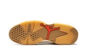 Jordan 6 Retro Quai 54 Sail Brown (2020)