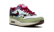 Nike Air Max 1 SP Concepts Mellow