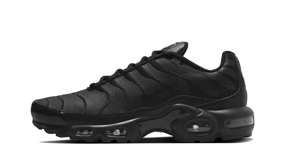 Nike Air Max Plus Triple Black Leather 1