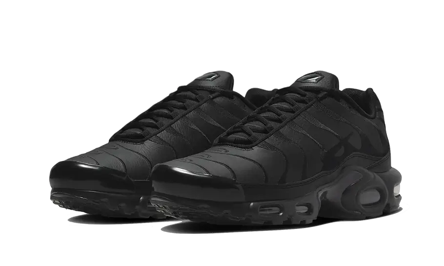 Nike Air Max Plus Triple Black Leather 2