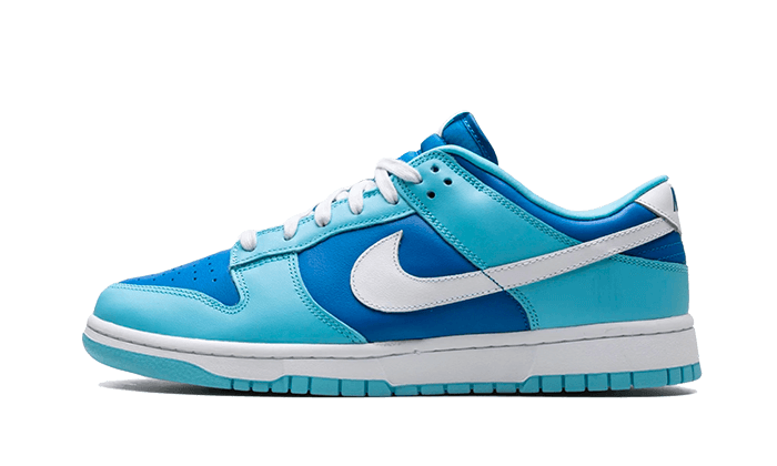 Nike Dunk Low Argon 1