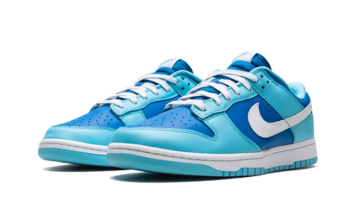 Nike Dunk Low Argon 2