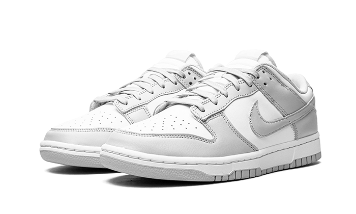 Nike Dunk Low Grey Fog 2