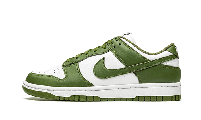 Nike Dunk Low Medium Olive 1