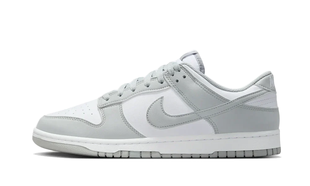 Nike Dunk Low Retro White Light Smoke Gray 1