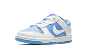 Nike Dunk Low Reverse UNC