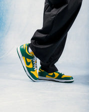 Nike Dunk Low SP Brazil 5