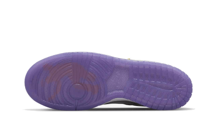 Nike Dunk Low Union Passport Court Pack Purple 2
