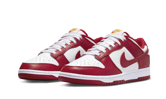 Nike Dunk Low USC 5