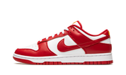 Nike Dunk Low USC 8