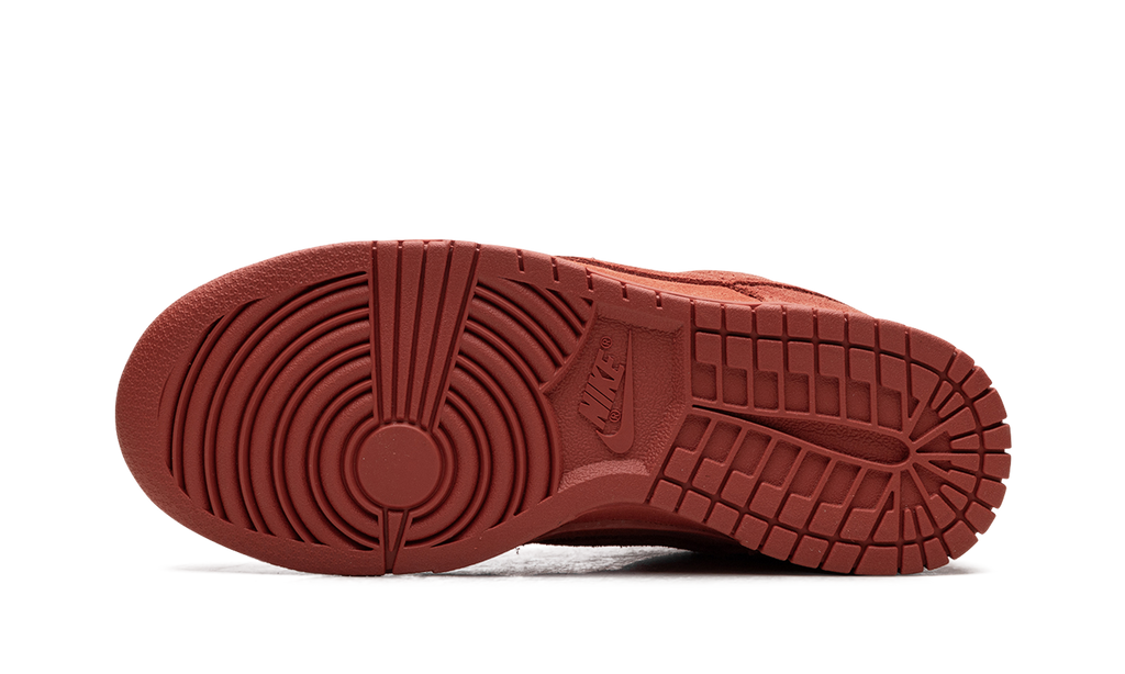 Nike Dunk Low Valley Of Fire 6