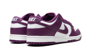 Nike Dunk Low White Viotech 4