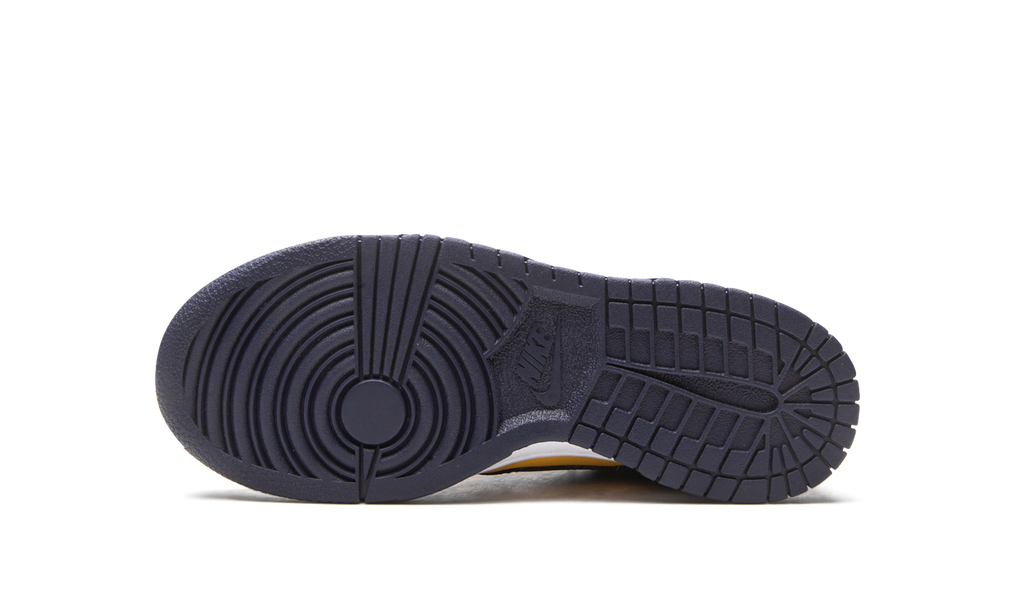 Nike Dunk Low Michigan (GS)